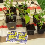 Vide-jardin lors du vide-grenier de Vert-Saint-Denis