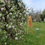 Cadre de vue ou vues de cadres, les surprises de l'œil au jardin